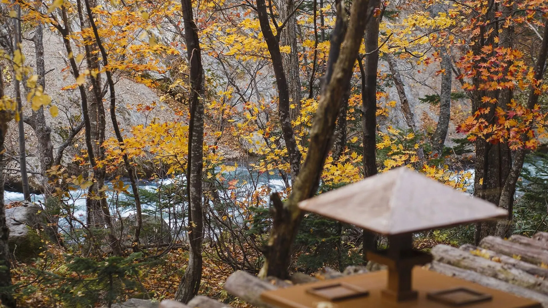 **** Ryokan Choyo Resort Hotel Kamikawa  Japan